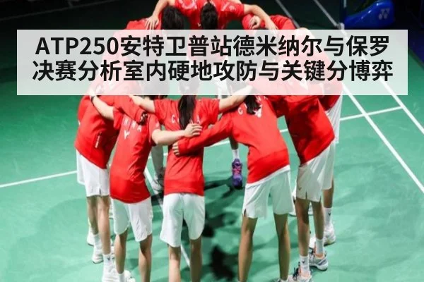 ATP250安特卫普站德米纳尔与保罗决赛分析室内硬地攻防与关键分博弈